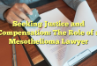 Seeking Justice and Compensation: The Role of a Mesothelioma Lawyer